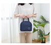 Cationic Waterproof Lunch Bag - Insulated Thermal Tote with Thickened Cooler Design